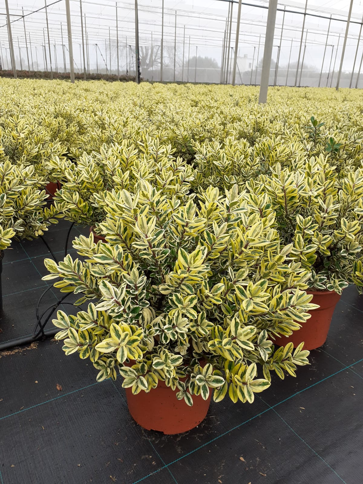 WhatsApp Image 2023-02-09 at 16.09.27 (1)