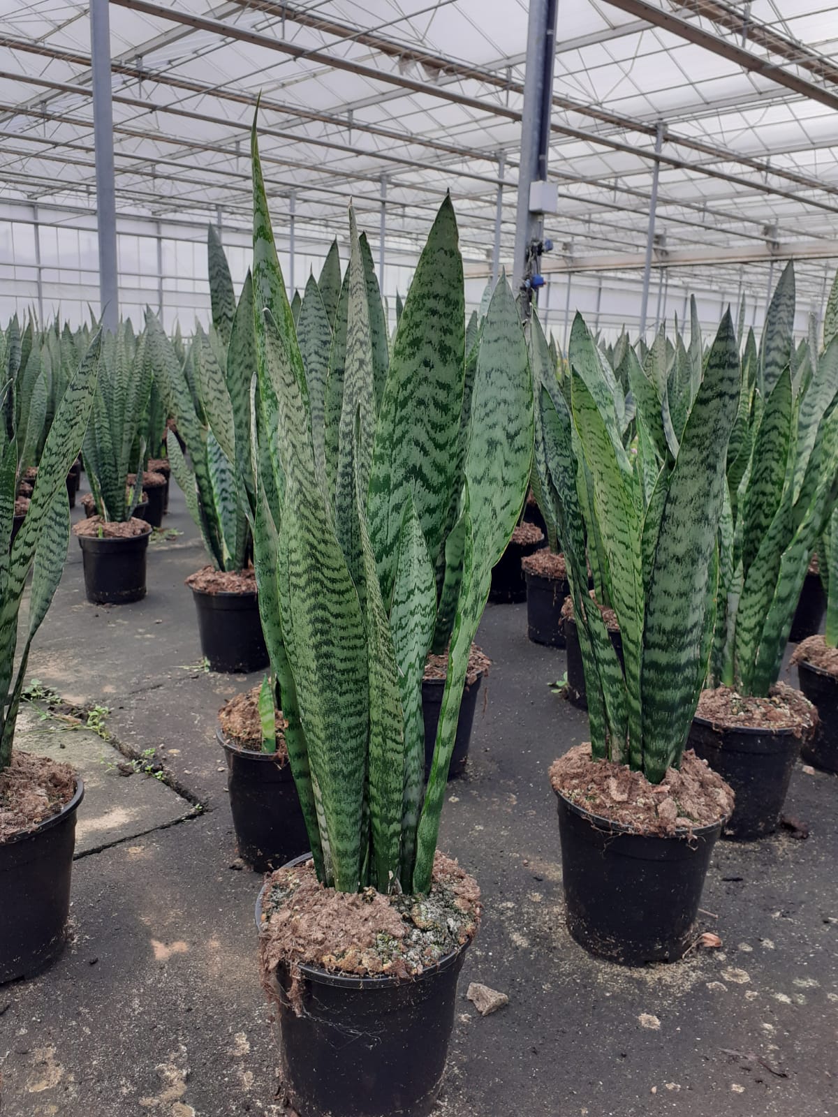 WhatsApp Image 2023-02-09 at 16.20.28 (1)