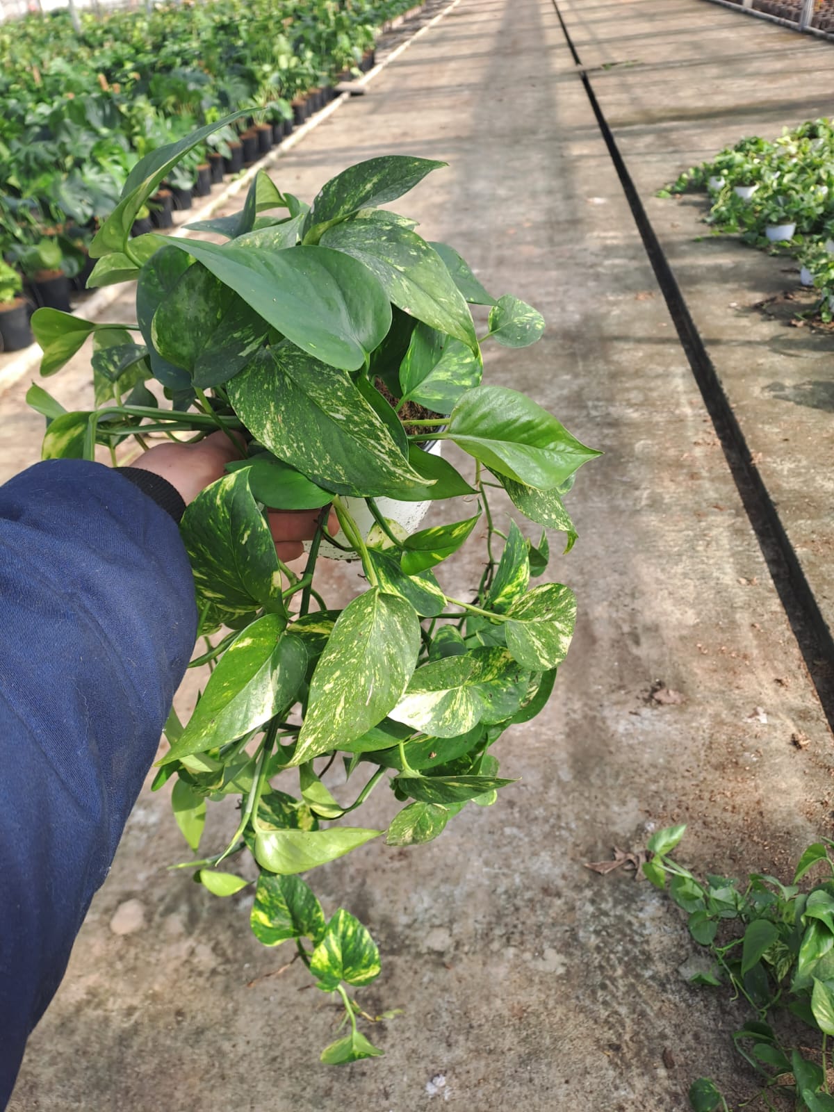 WhatsApp Image 2023-02-14 at 18.06.15