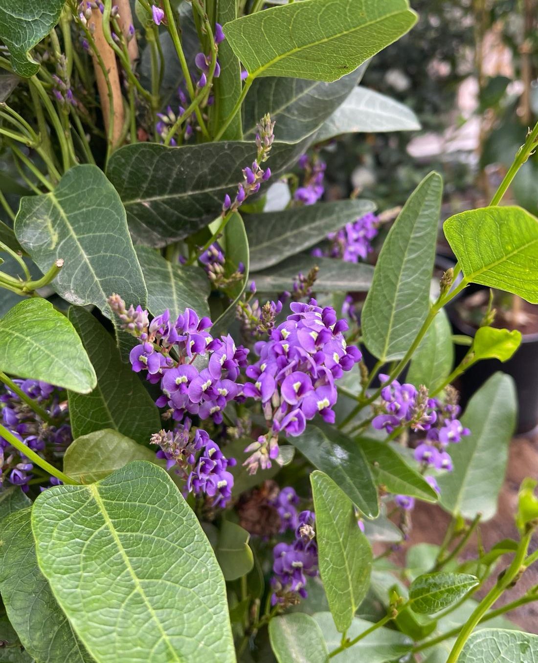 Imagen de WhatsApp 2024-02-15 a las 15.23.19_a632f84a