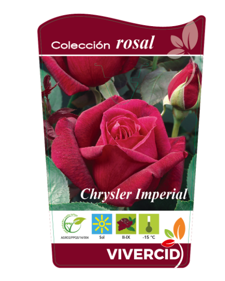 etiqueta rosal rojo oscuro