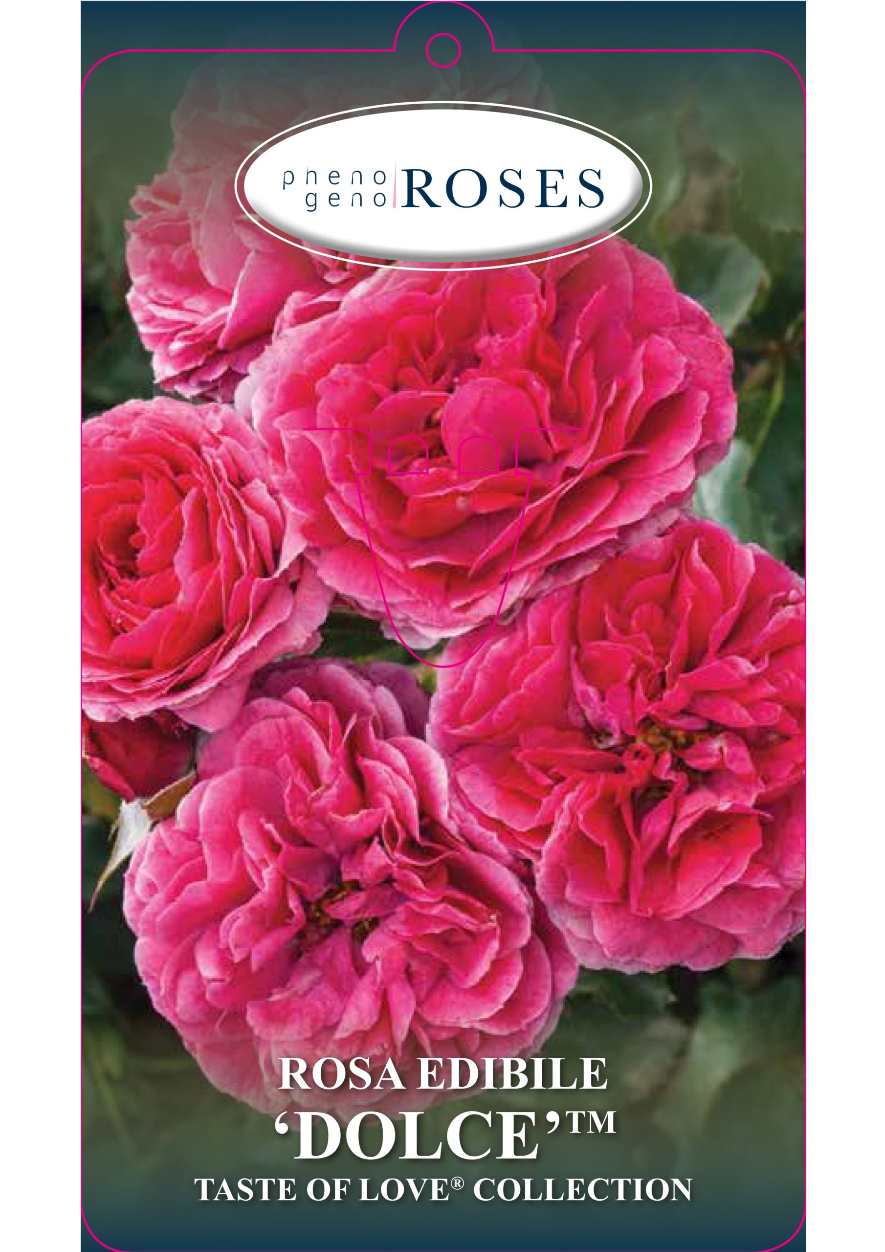 Pictures Labels Vivercid_page-0001