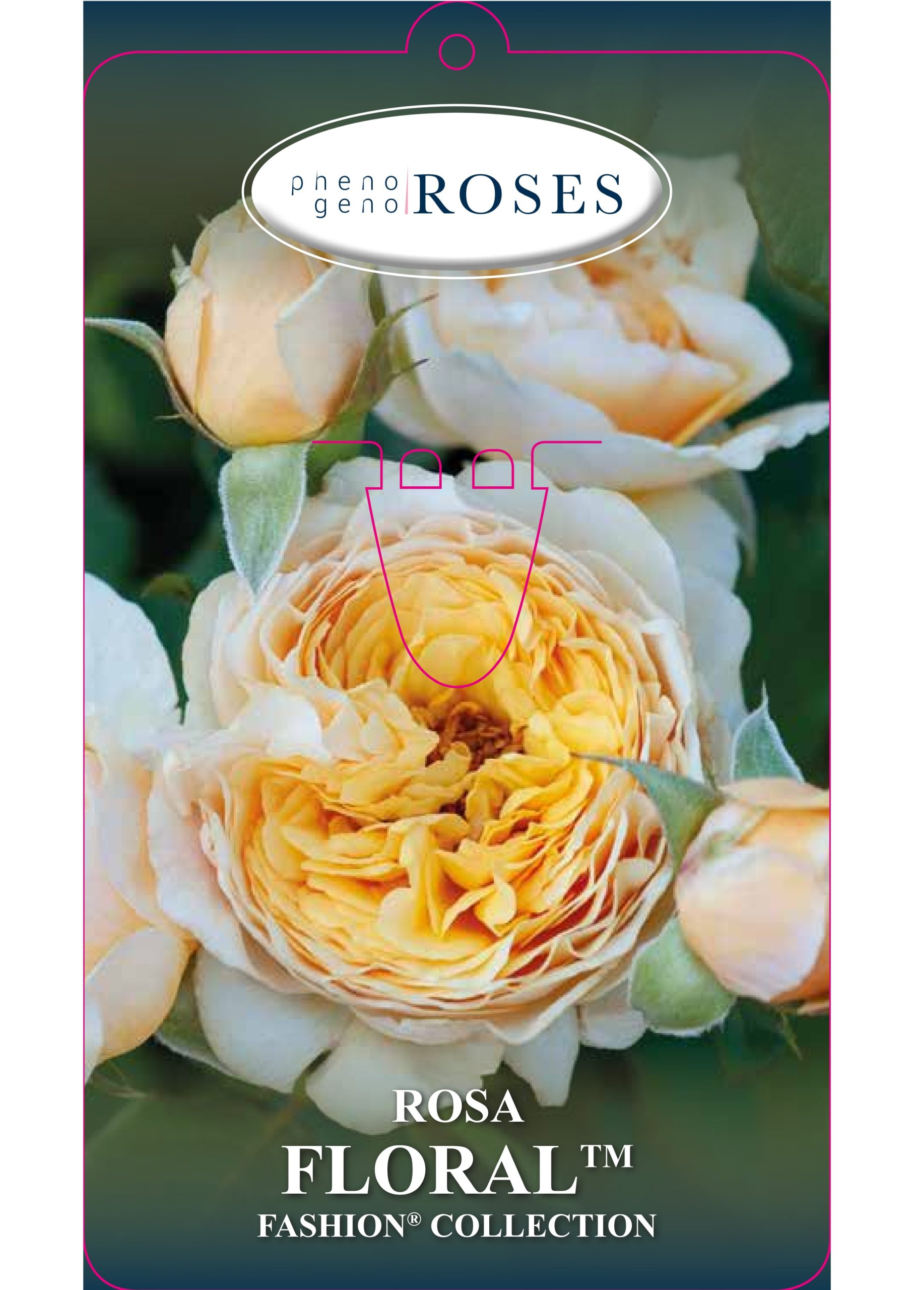 Pictures Labels Vivercid_page-0002