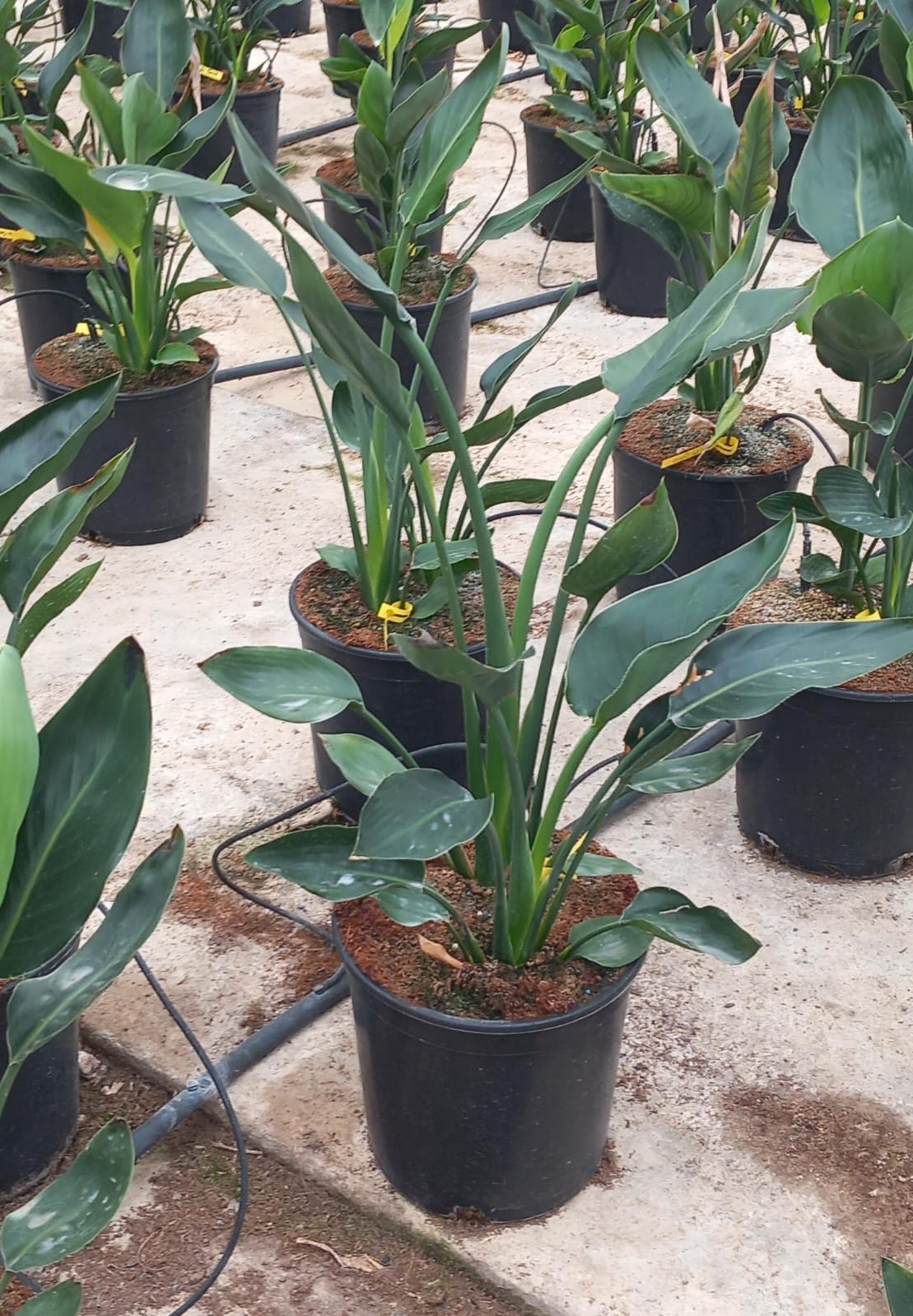 WhatsApp Image 2024-03-27 at 2.40.45 PM